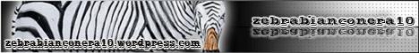 banner-zebra3